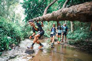 BIB: 
                            <button type="button" onclick="openModal(25368763)" class="btn btn-primary btn-sm float-right btn-popup" data-toggle="modal" data-target=".modal-high-quality">
                        <i class="fas fa-shopping-cart"></i> Add to Cart
                    </button>
                                            <button type="button" onclick="isThisMe(25368763, true)" class="btn btn-success btn-sm float-right btn-popup btn-isme hidden" data-toggle="tooltip" data-placement="bottom" title="นี่คือรูปของคุณใช่ไหม คลิกที่นี่เพื่อเอาเข้าอัลบั้ม">
                        <i class="fas fa-plus"></i> Add to album
                    </button>
                    <button type="button" onclick="isThisMe(25368763, false)" class="btn btn-warning btn-sm float-right btn-popup btn-isnotme hidden">
                        <i class="fas fa-ban"></i> Remove from album
                    </button>